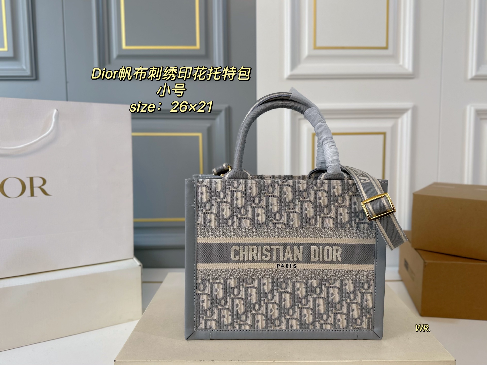 DIOR bag 120
